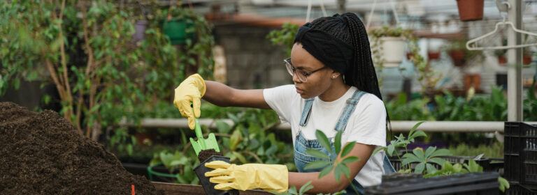 Bloom where you’re planted