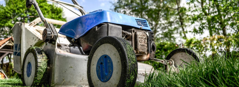 In every seed, there’s a future