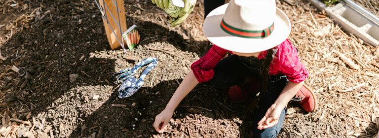 Plant dreams, grow miracles