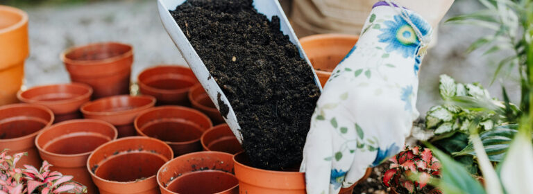 Nature’s beauty never fades