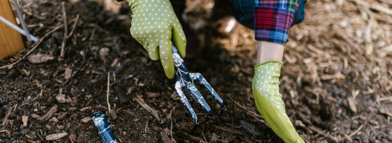 Plant today, bloom tomorrow